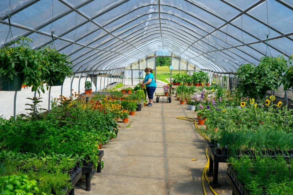 groaloegreenhouse