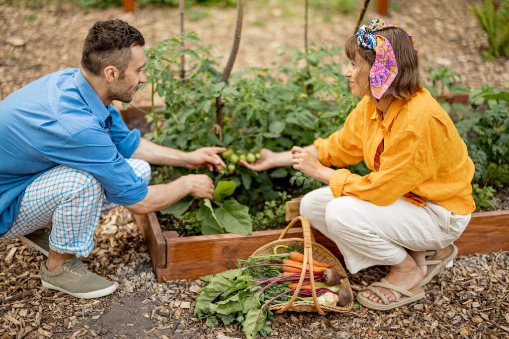 couple at home vegetable garden 2023 11 27 05 35 36 utc