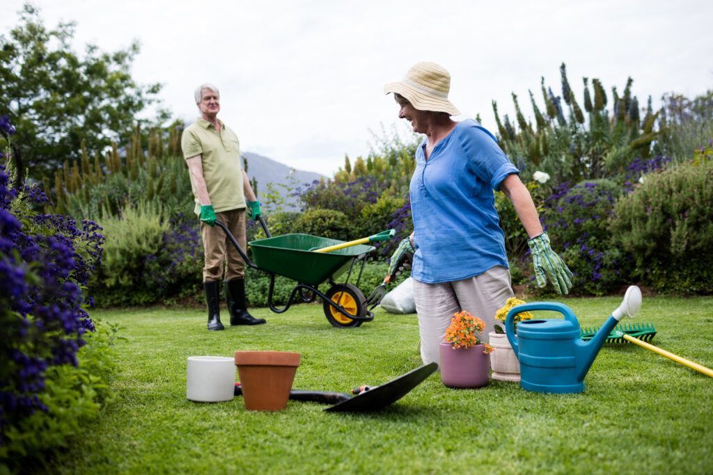couple interacting with each other while planting 2023 11 27 05 02 14 utc